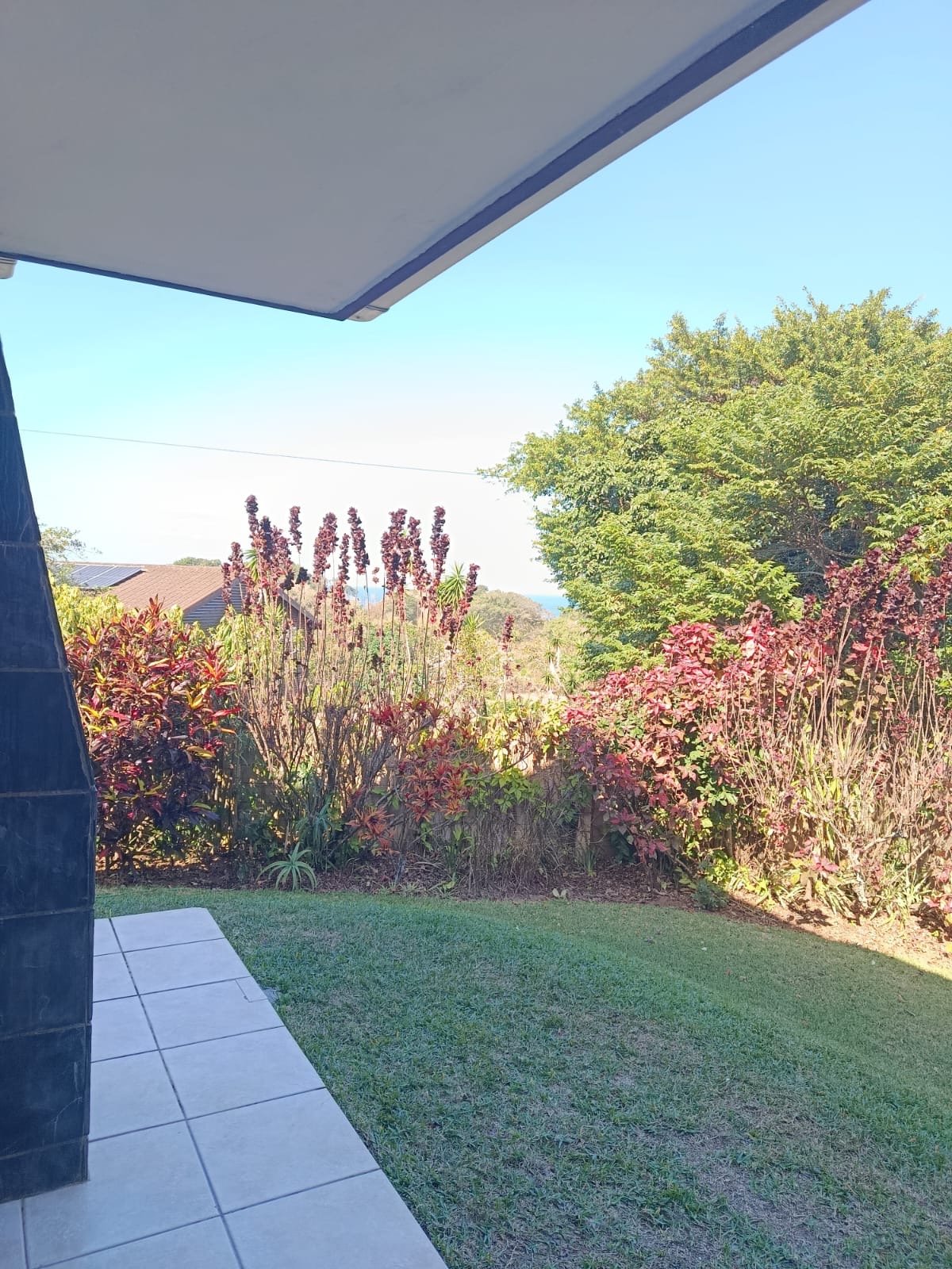 Looking out from beneath the patio roof across the garden